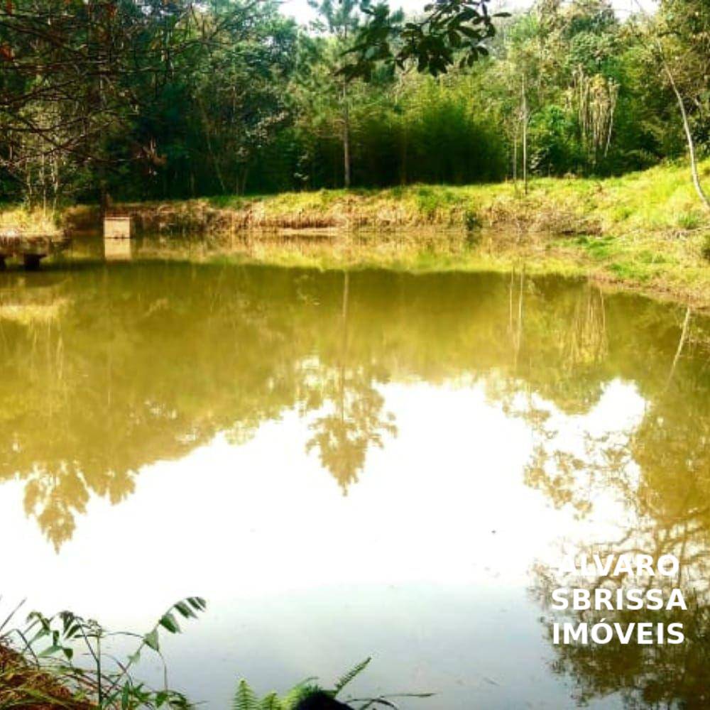 Sítio, 1 quarto, 14 hectares - Foto 7