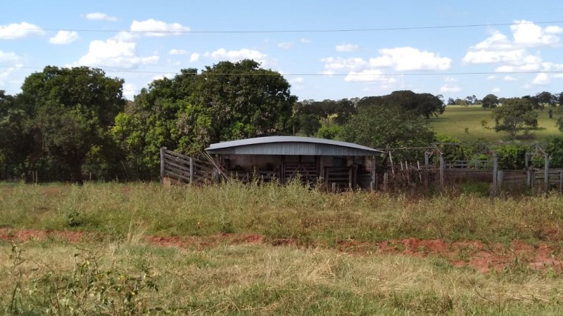 Fazenda, 41 hectares - Foto 2