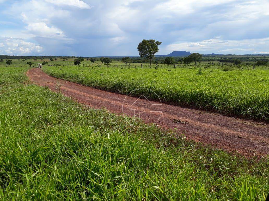 Fazenda-Sítio-Chácara, 740 hectares - Foto 1