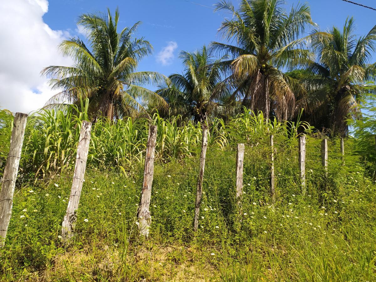 Terreno, 924 m² - Foto 2