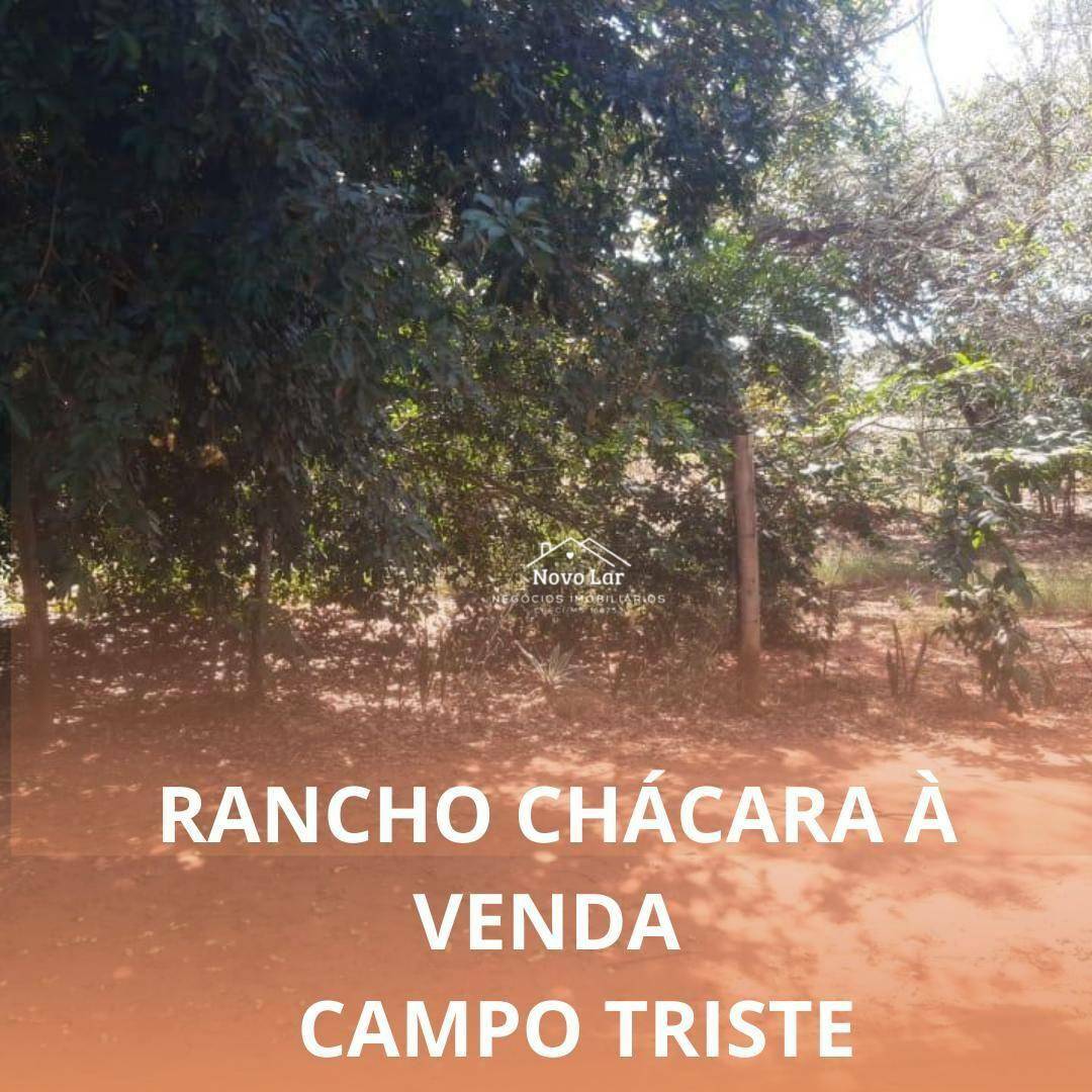 Chácara, 1024 m² - Foto 1