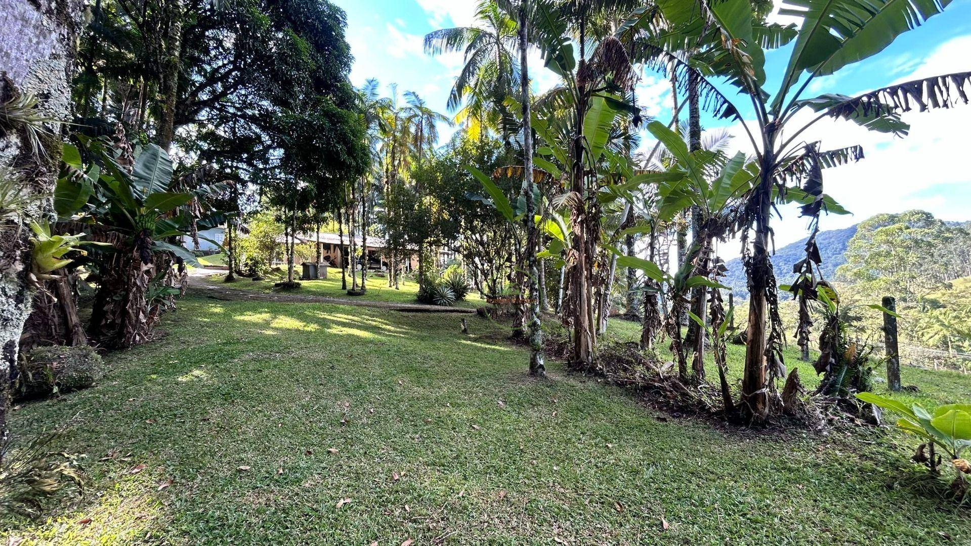 Sítio, 3 hectares - Foto 54