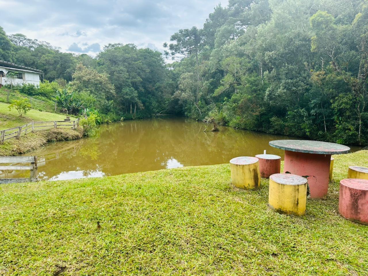 Fazenda à venda com 3 quartos, 8000m² - Foto 49