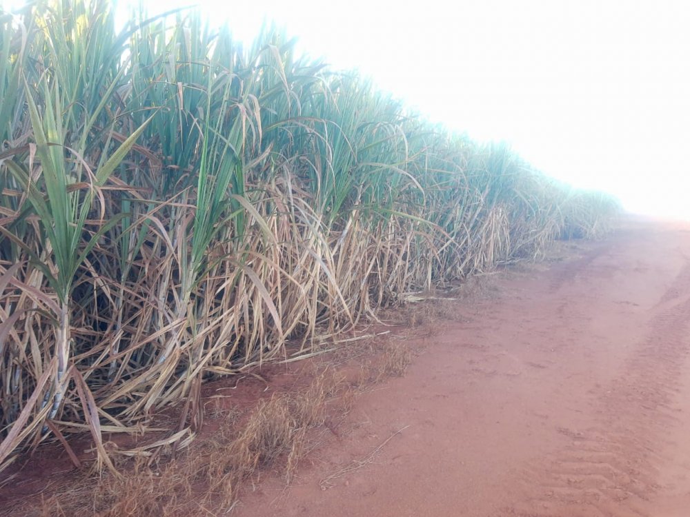 Fazenda à venda, 2600m² - Foto 1