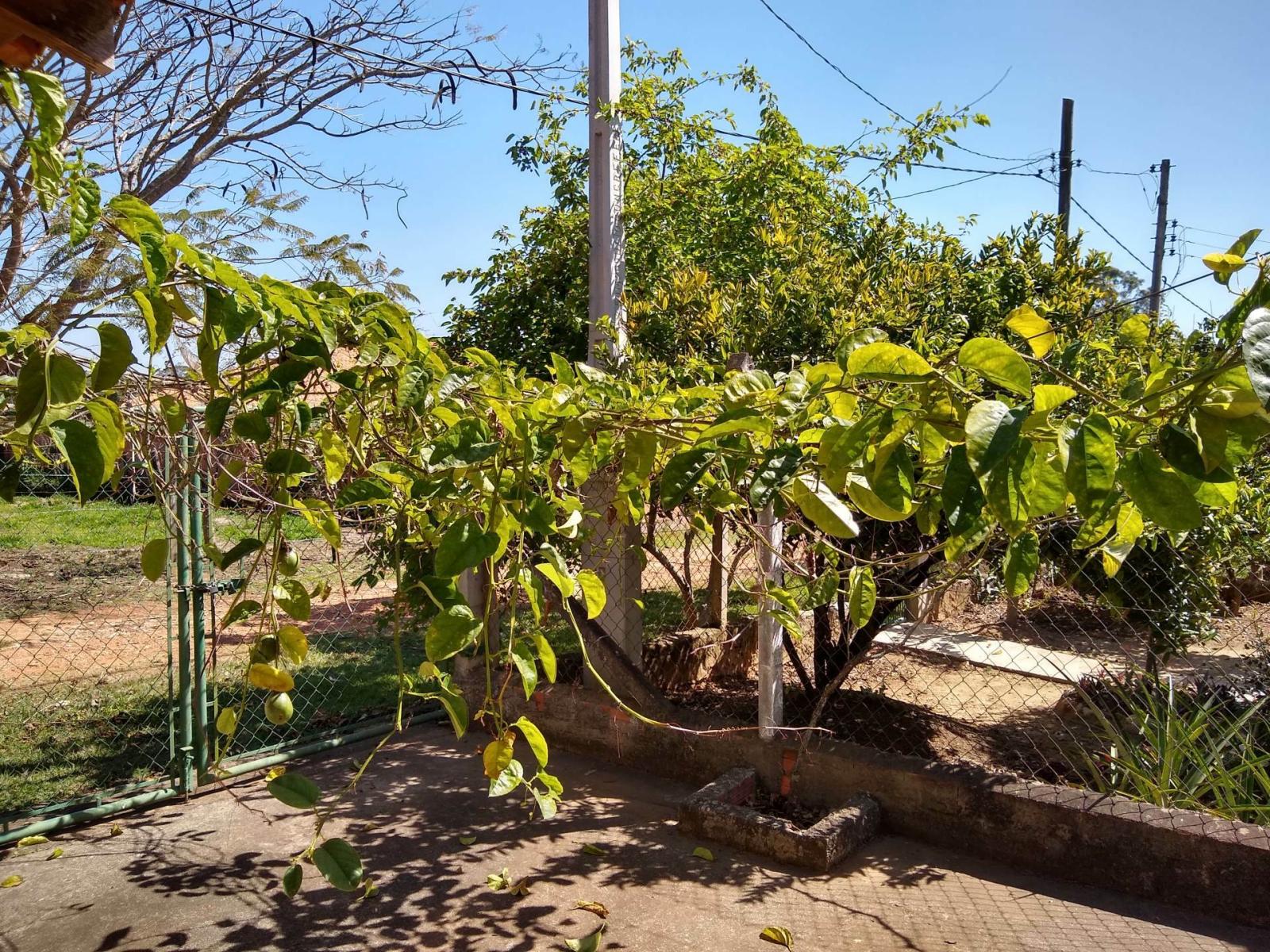 Fazenda à venda com 3 quartos, 1m² - Foto 34