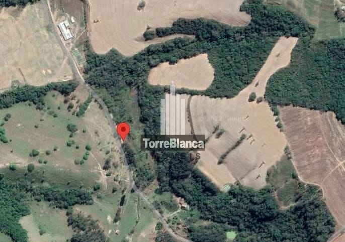 Terreno, 2 hectares - Foto 1