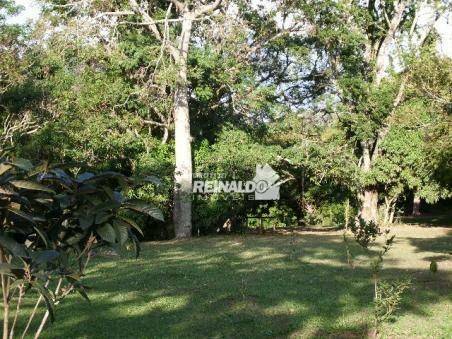 Casa de Condomínio para alugar com 4 quartos, 239m² - Foto 58