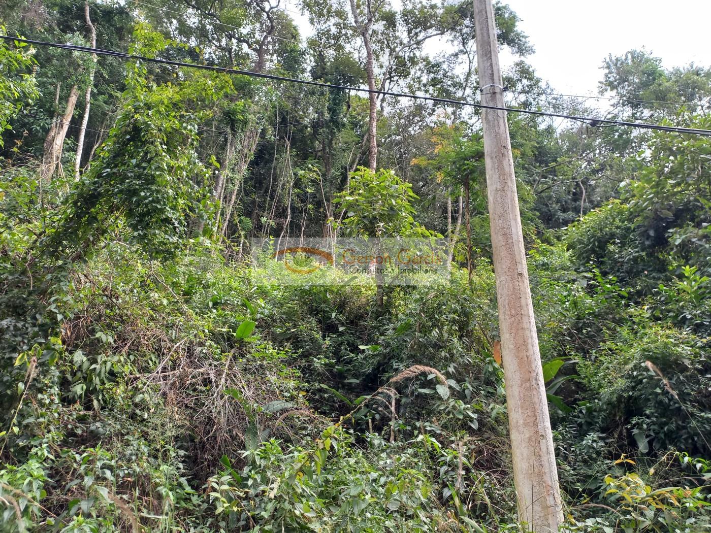 Terreno à venda, 1192m² - Foto 5