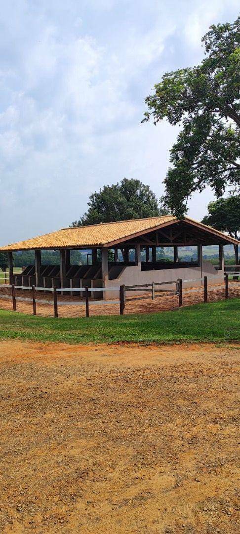 Fazenda-Sítio-Chácara, 136 hectares - Foto 16