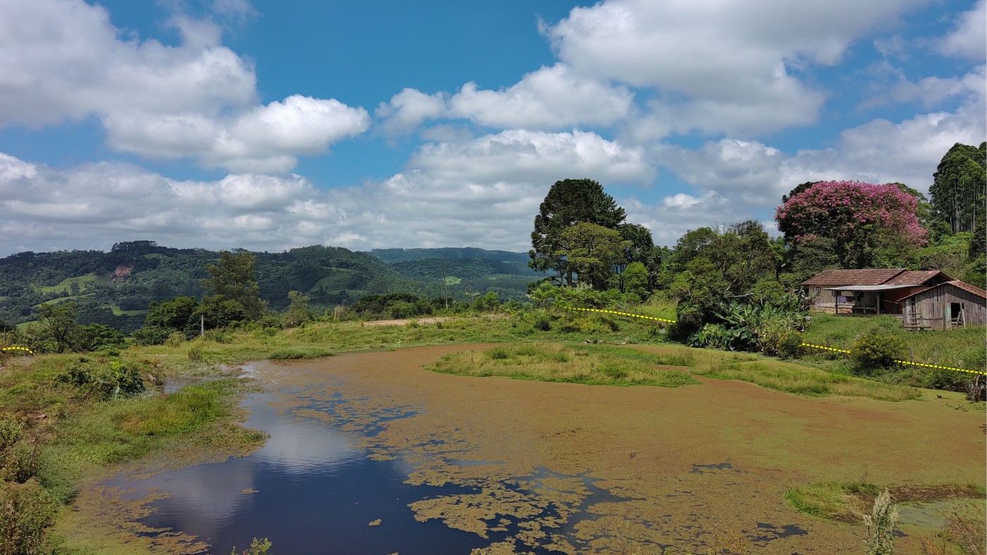 Chácara à venda, 10000m² - Foto 23
