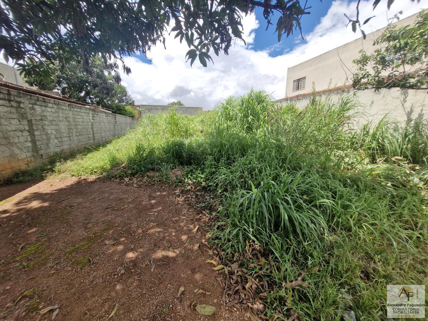 Terreno à venda, 360m² - Foto 3