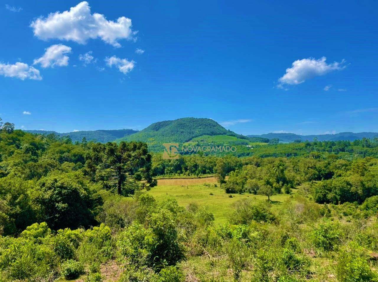 Sítio à venda com 6 quartos, 450000M2 - Foto 1