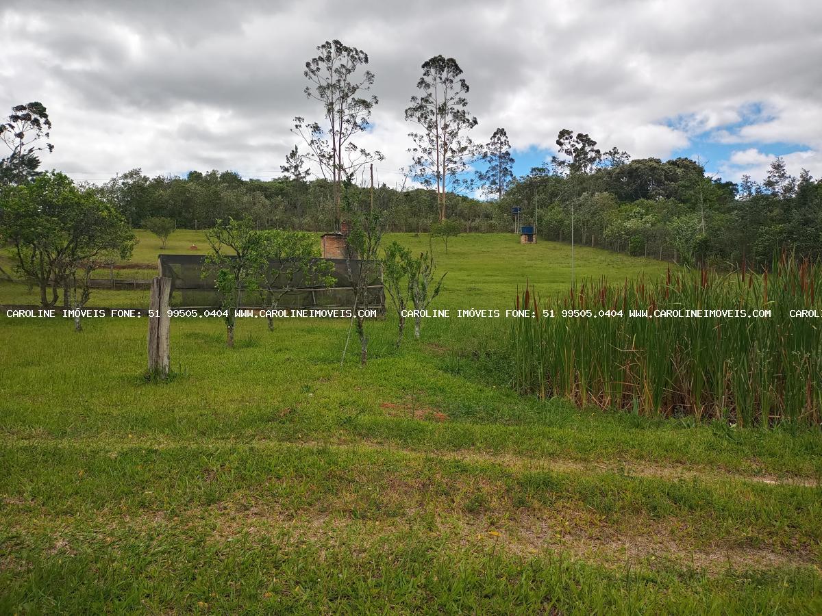 Fazenda à venda com 3 quartos, 29000m² - Foto 17