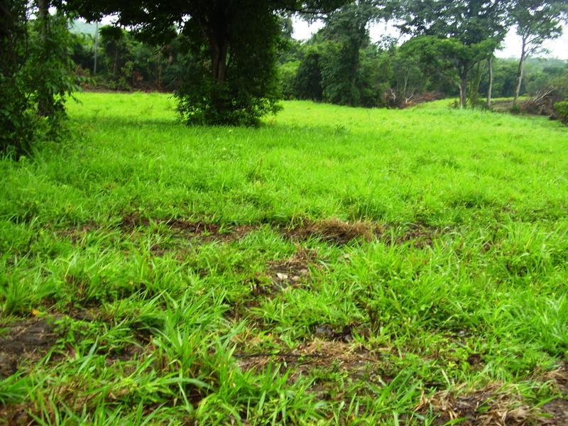 Fazenda à venda - Foto 7