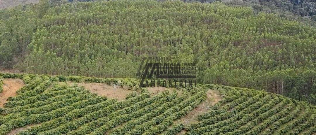 Fazenda à venda, 1452000M2 - Foto 46