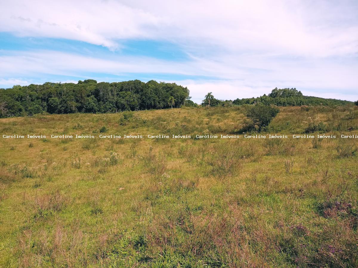 Fazenda à venda com 5 quartos, 625000m² - Foto 42