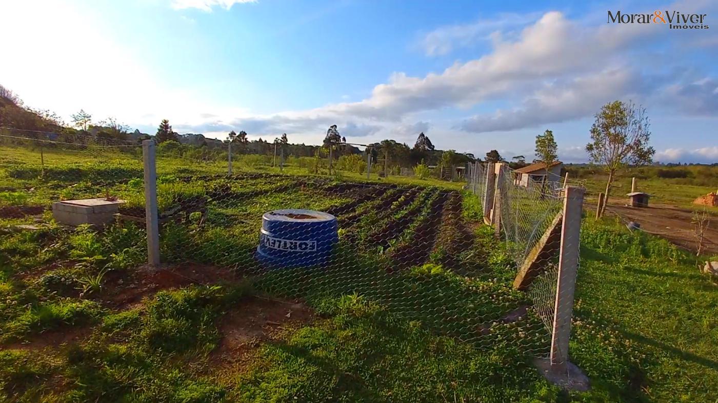 Fazenda à venda, 32800m² - Foto 12