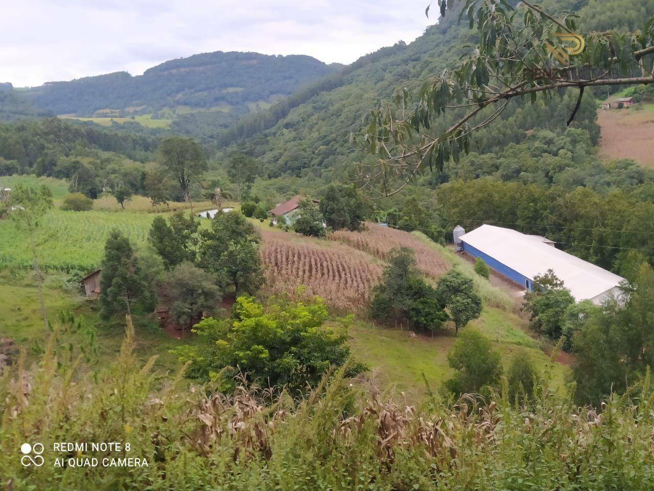 Terreno à venda, 169000M2 - Foto 36