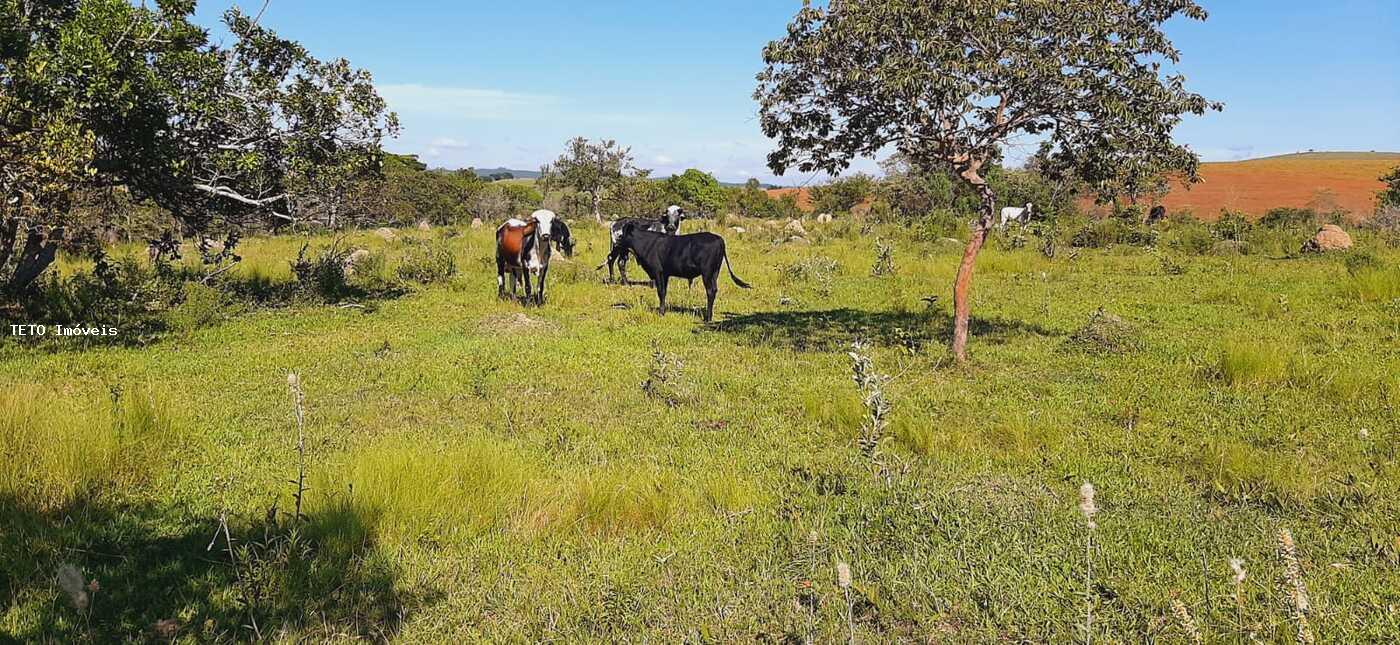 Fazenda à venda, 77m² - Foto 26