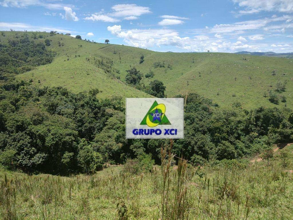 Fazenda à venda, 1060000M2 - Foto 12