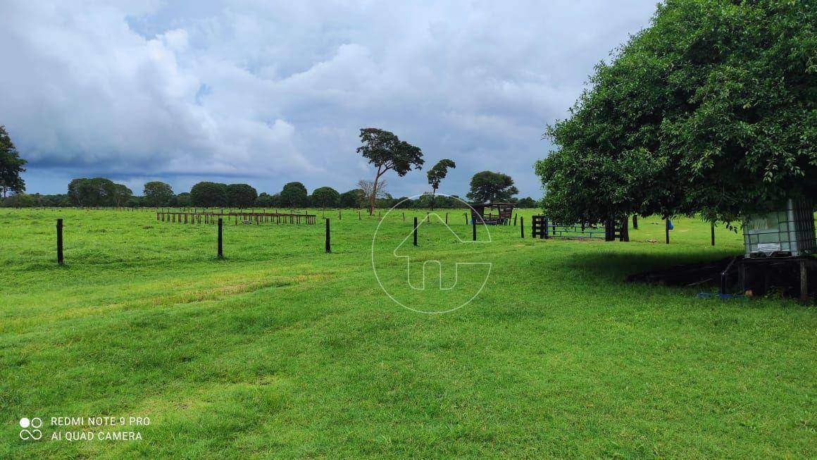 Fazenda à venda, 7800000M2 - Foto 2