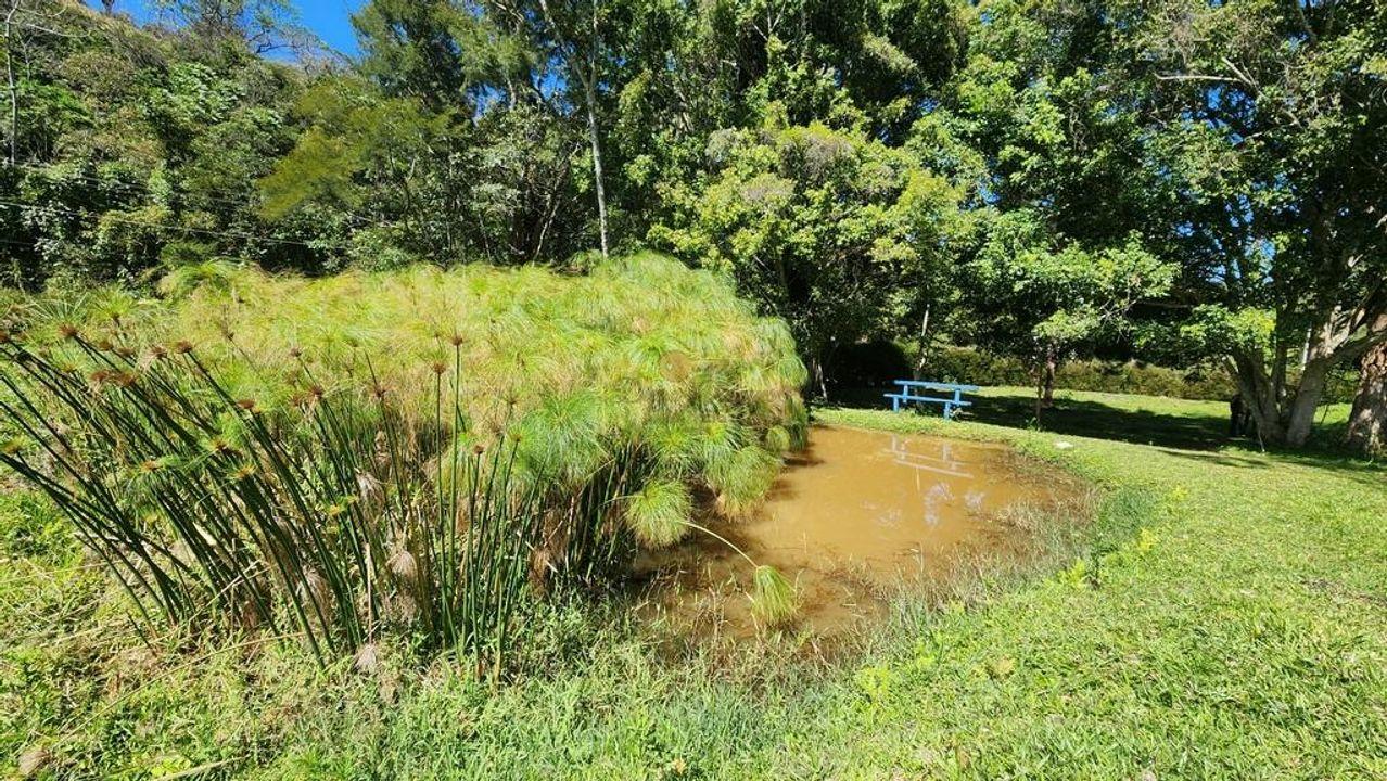 Fazenda à venda com 5 quartos, 500m² - Foto 44