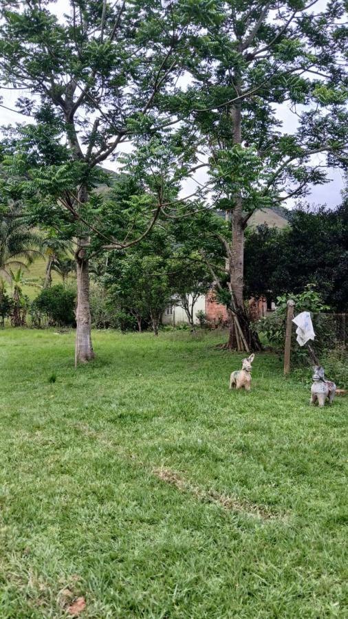 Fazenda à venda com 4 quartos, 2500m² - Foto 10