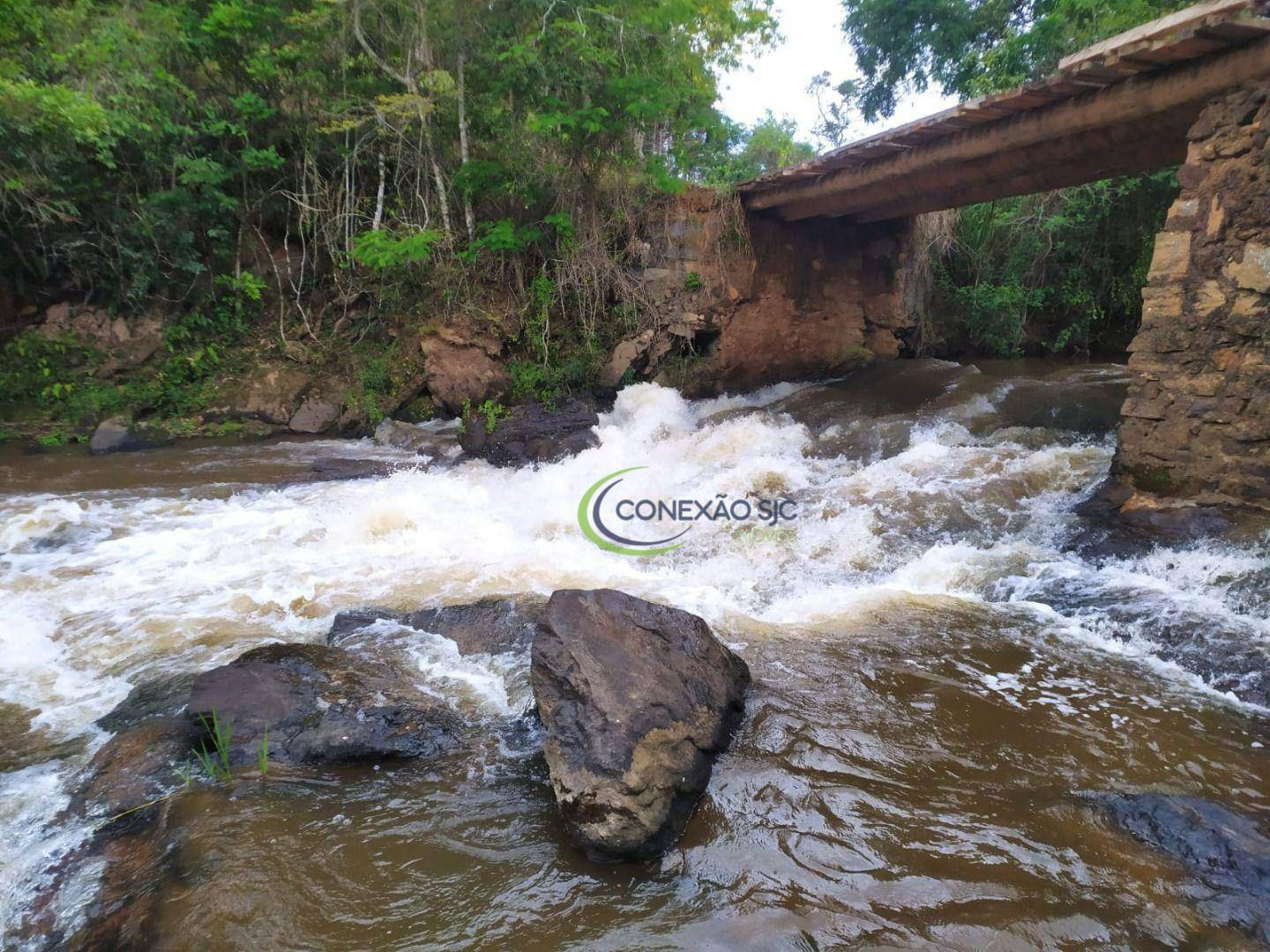 Chácara à venda com 3 quartos, 5000M2 - Foto 5