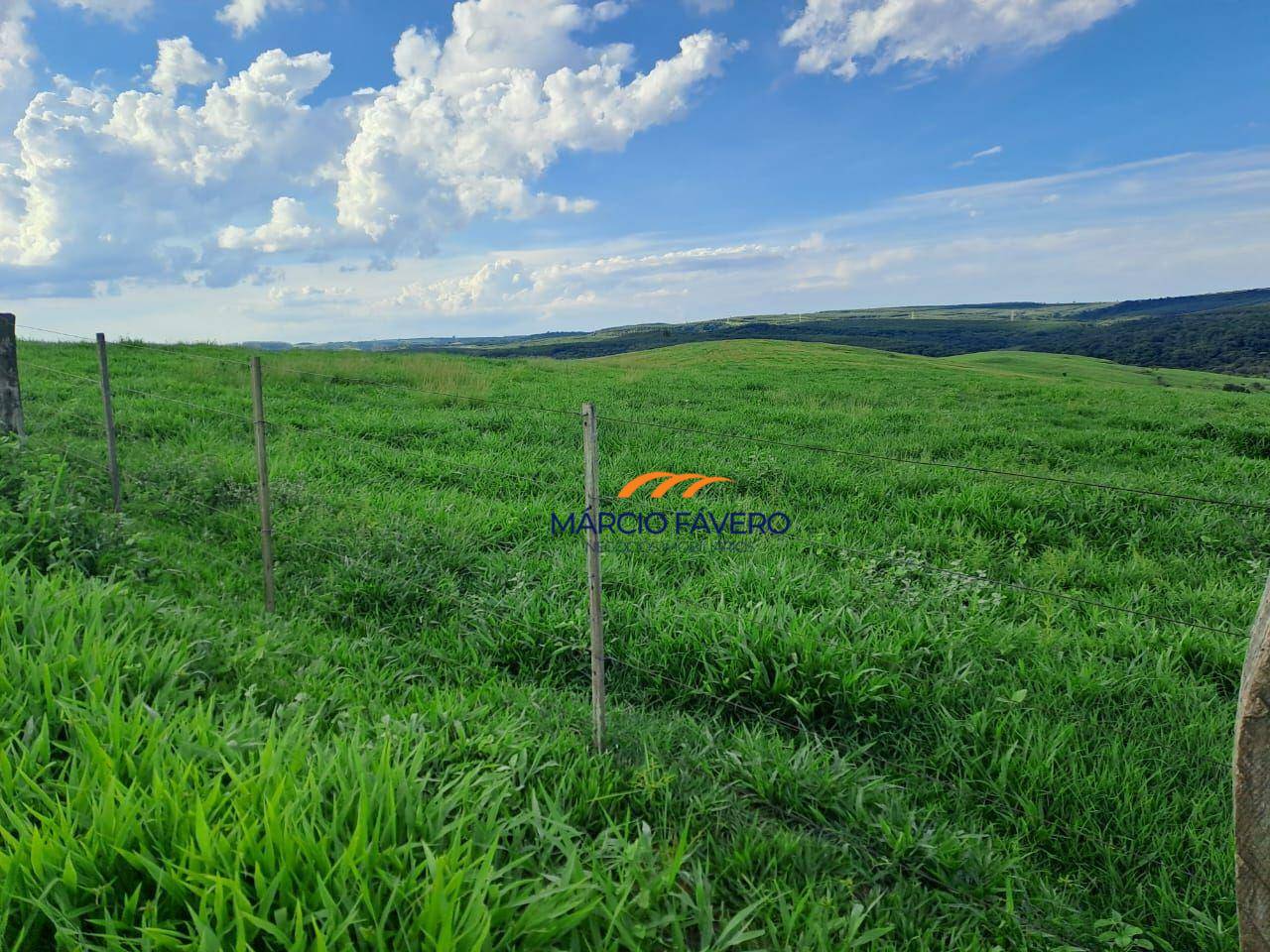 Fazenda, 571 hectares - Foto 2