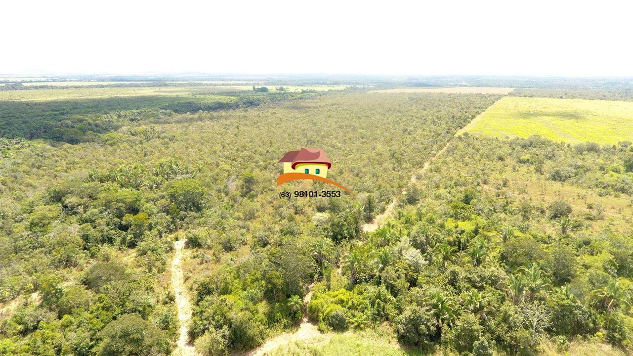 Fazenda, 387 hectares - Foto 10
