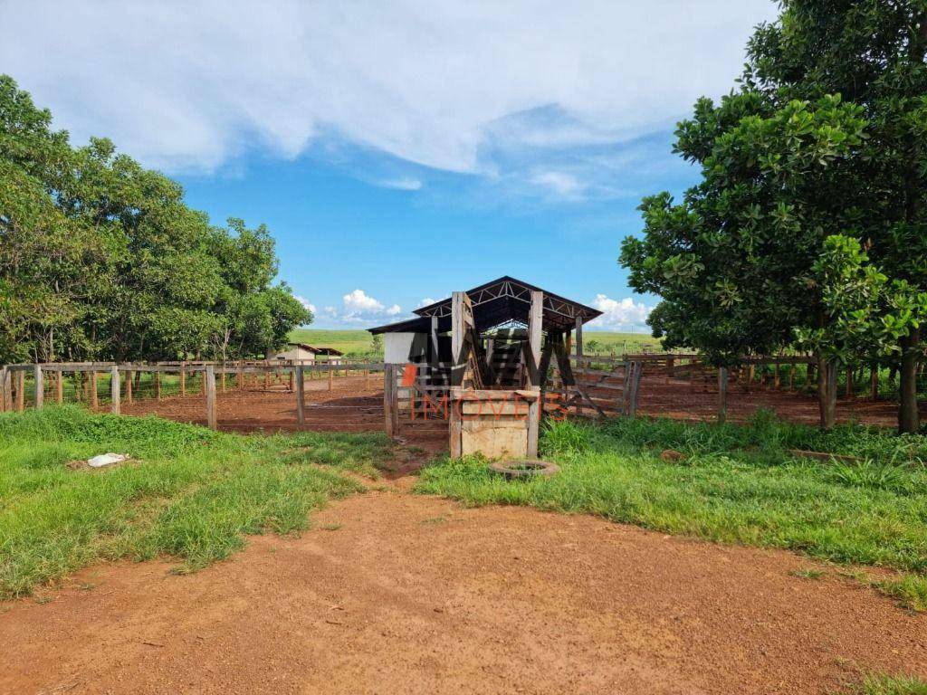 Fazenda à venda, 70000000M2 - Foto 5