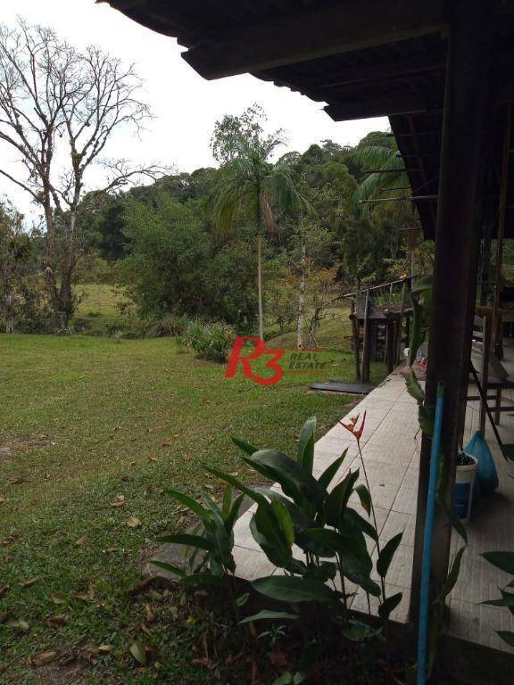 Sítio, 5 quartos, 7 hectares - Foto 6