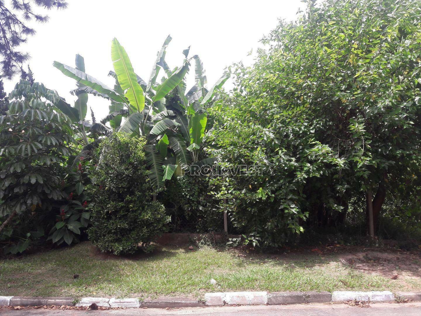 Loteamento e Condomínio à venda, 1000M2 - Foto 4