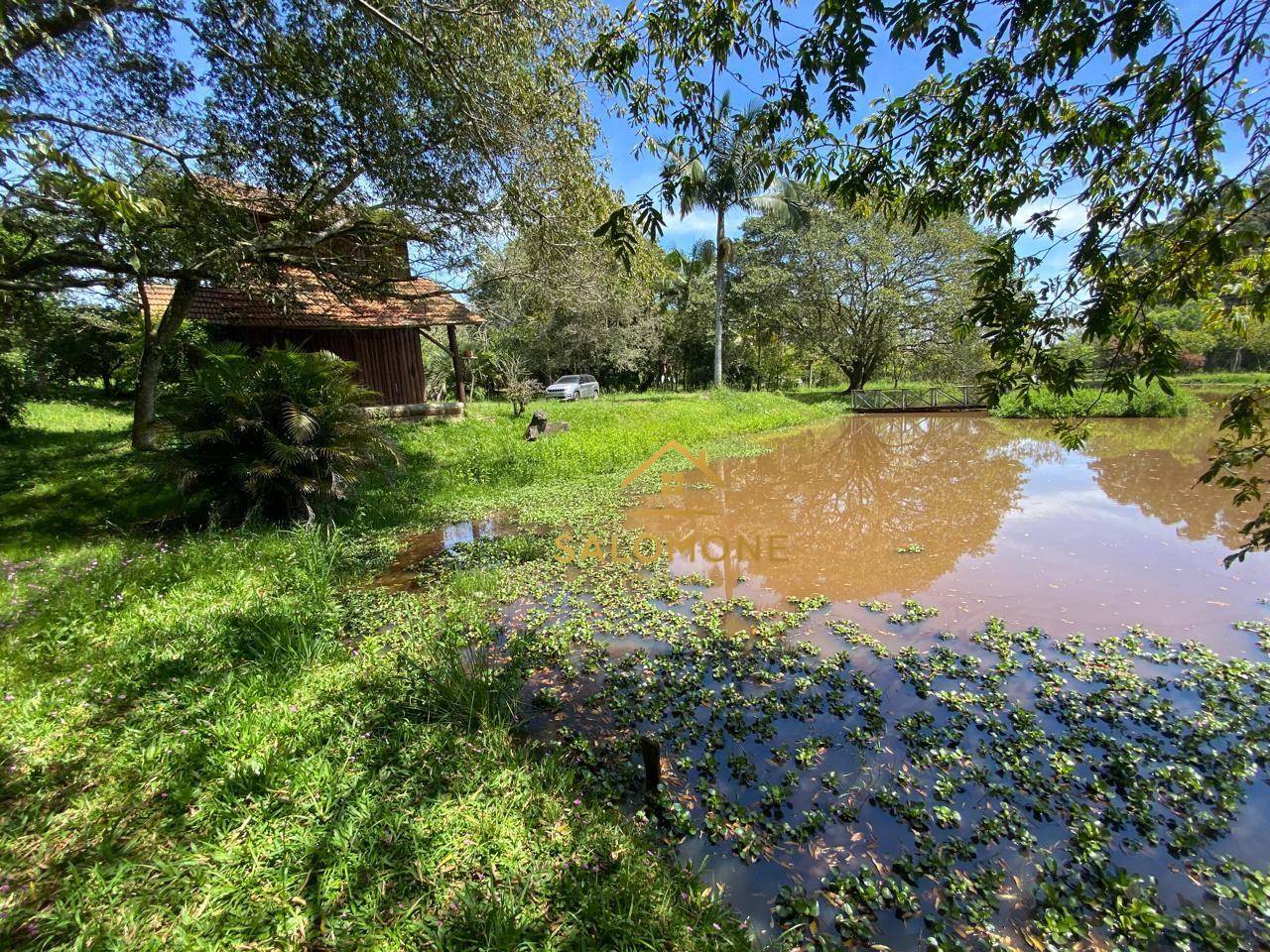 Sítio, 1 quarto, 4040 m² - Foto 2