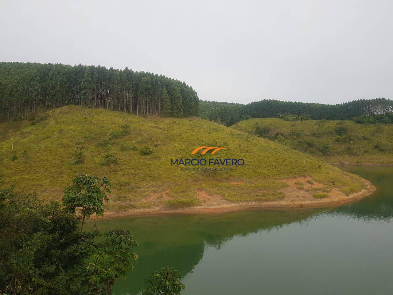 Fazenda, 303 hectares - Foto 2