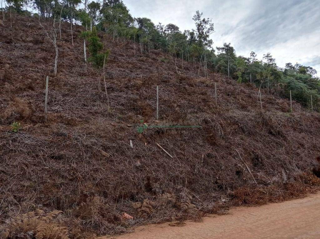 Terreno à venda, 1350M2 - Foto 1