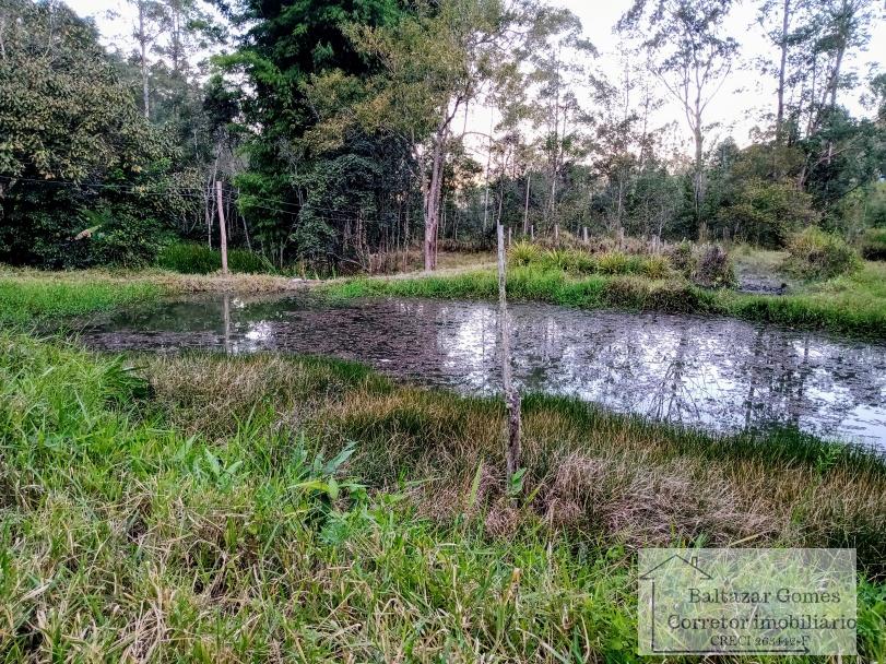 Fazenda à venda com 3 quartos, 20000m² - Foto 6