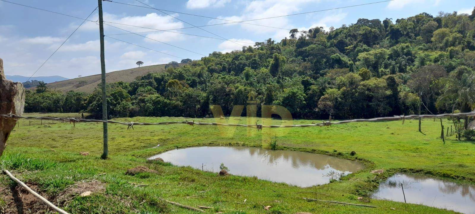 Terreno à venda, 3000M2 - Foto 8