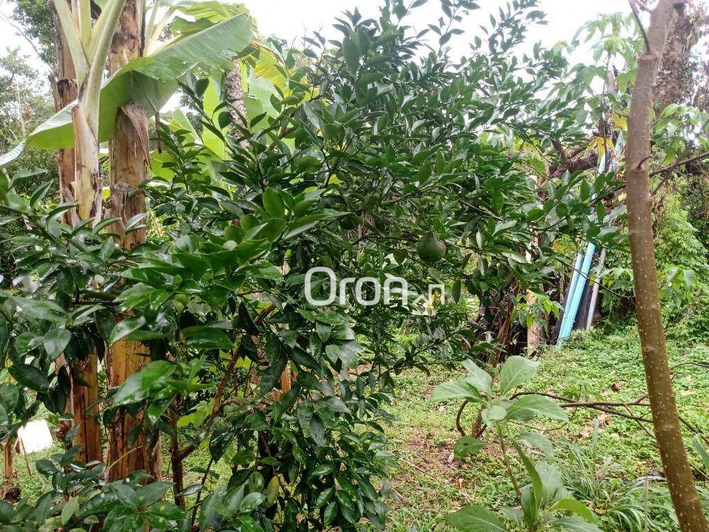 Chácara à venda com 3 quartos, 4000M2 - Foto 6