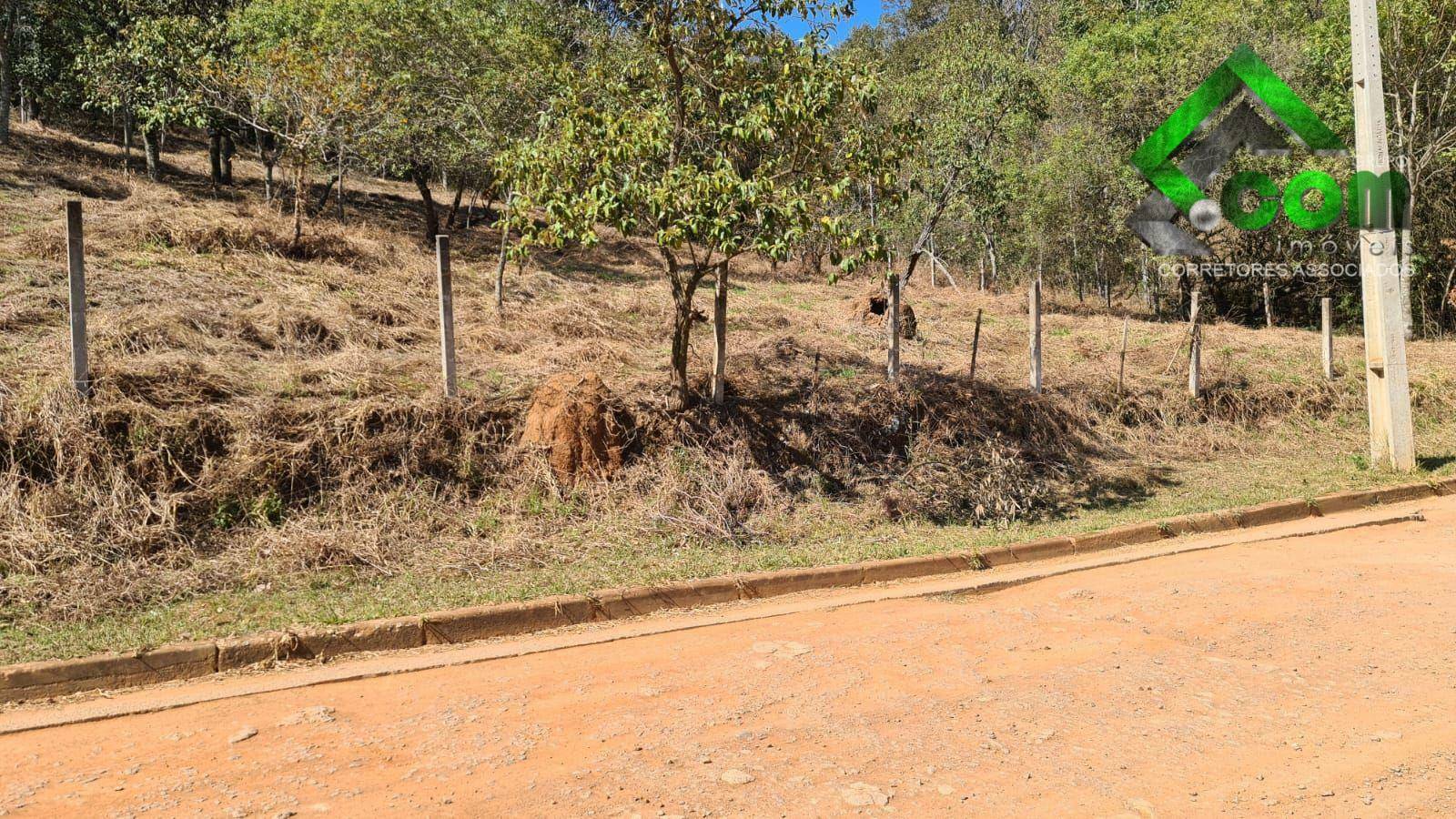 Loteamento e Condomínio à venda, 3600M2 - Foto 10