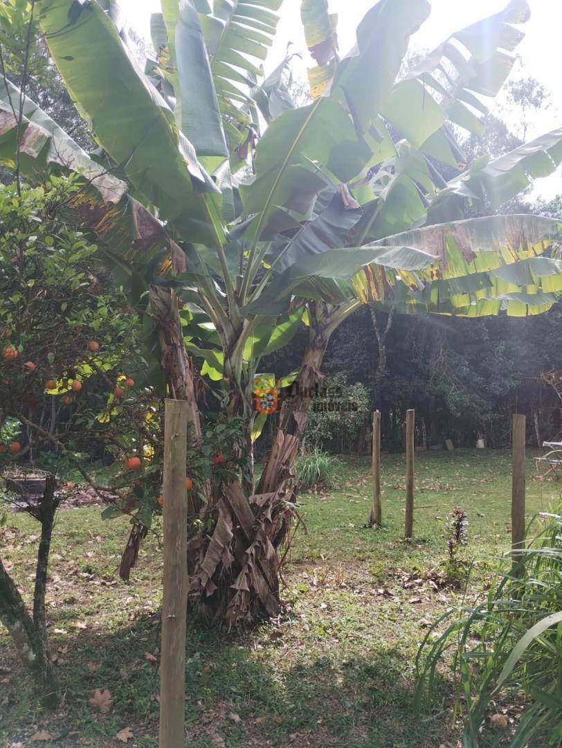 Chácara à venda com 2 quartos, 98m² - Foto 40