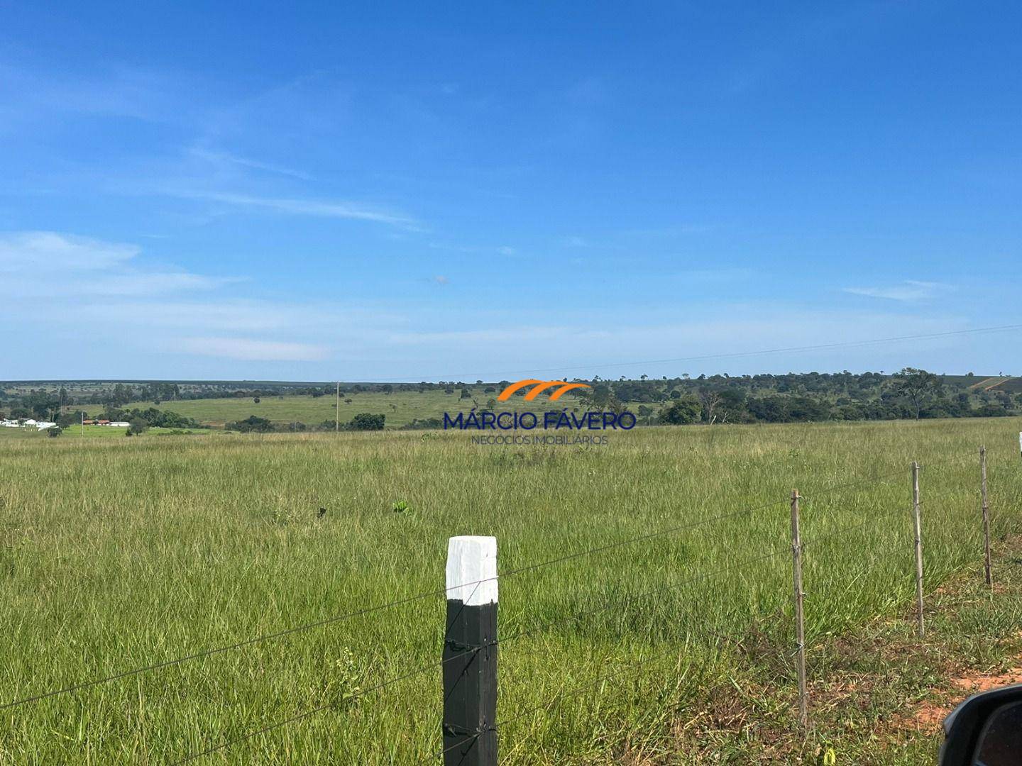 Fazenda, 322 hectares - Foto 2