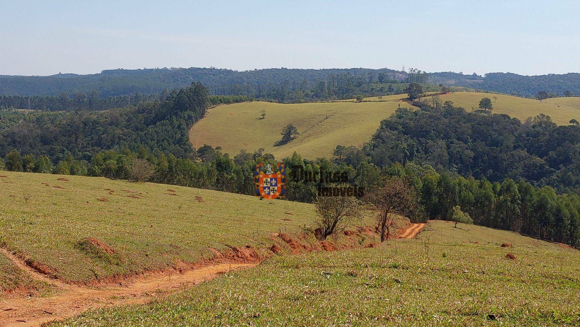 Fazenda à venda com 6 quartos, 500m² - Foto 130