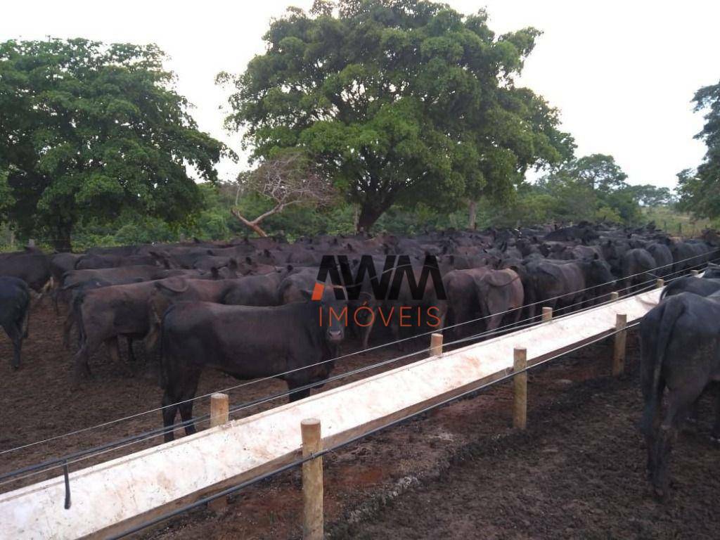 Fazenda à venda, 2420000M2 - Foto 6