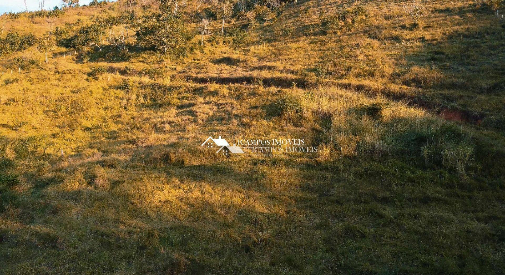 Terreno à venda, 24000M2 - Foto 7