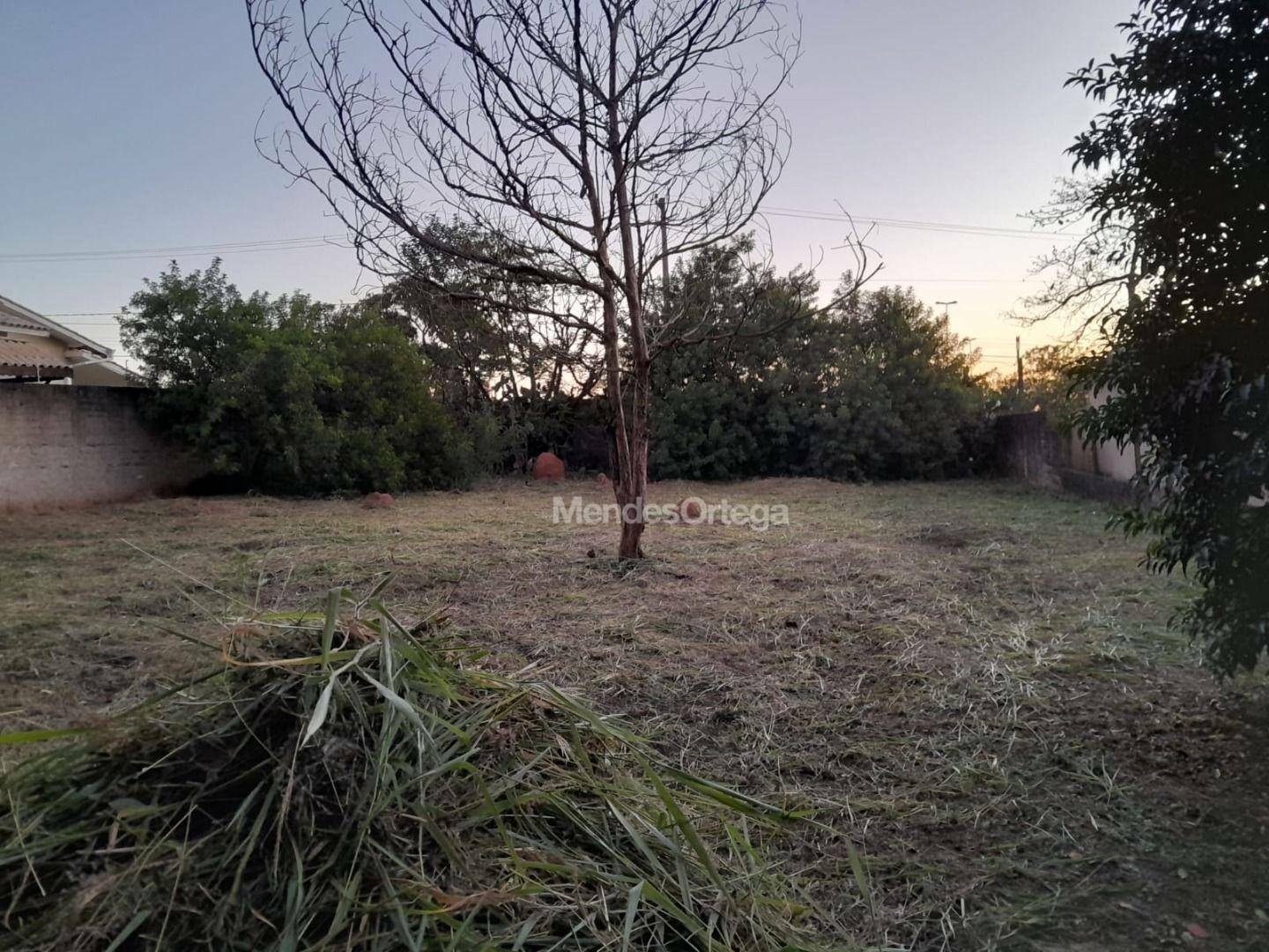 Terreno à venda, 1100M2 - Foto 1