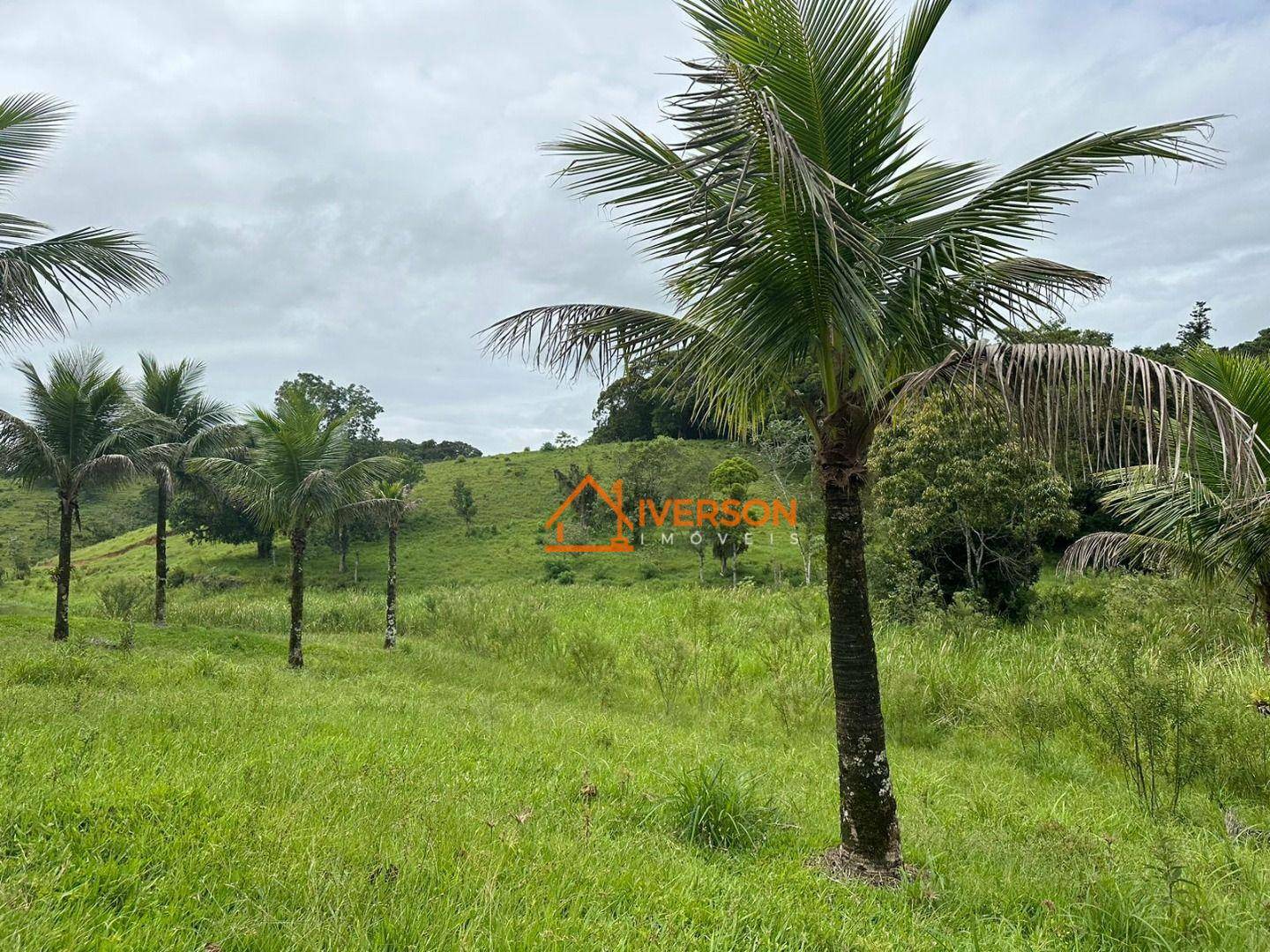 Sítio à venda com 3 quartos, 200m² - Foto 30