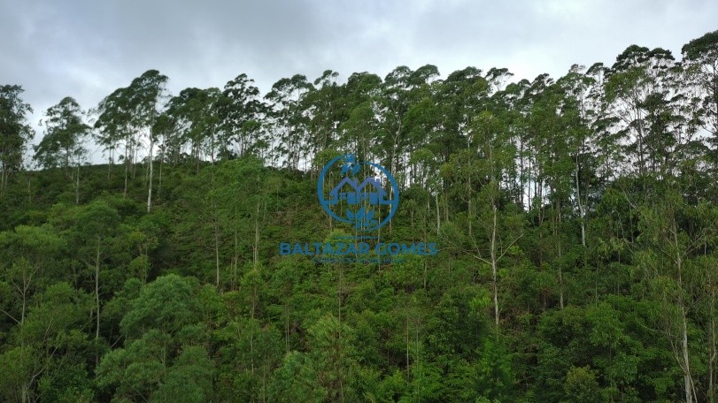 Terreno à venda, 20000m² - Foto 2