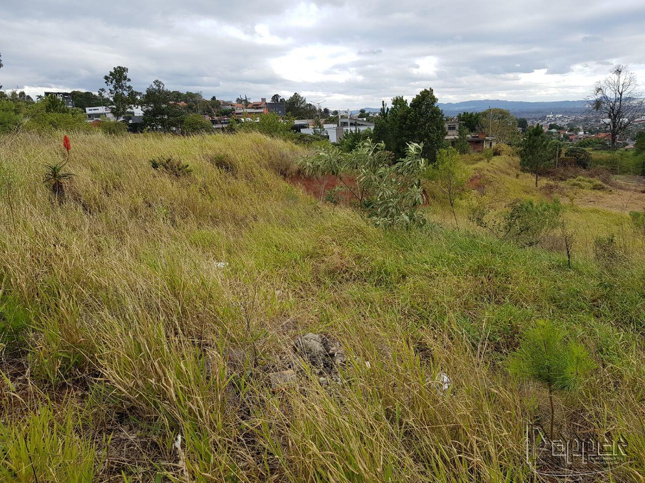 Terreno à venda - Foto 3