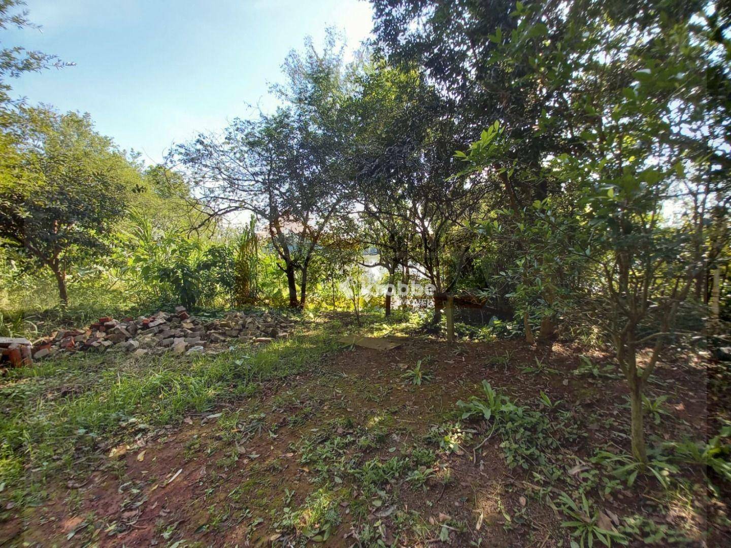 Chácara à venda com 1 quarto, 8500M2 - Foto 7